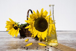 Sunflowers and sunflower oil